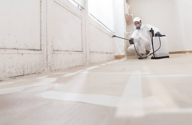 Post-remediation clearance in Longwood