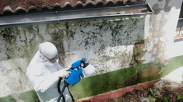Clearance testing in Longwood